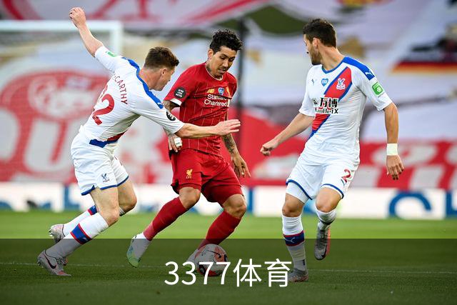 3377体育公司简介图片